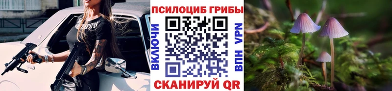 Галлюциногенные грибы Magic Shrooms  Знаменск 