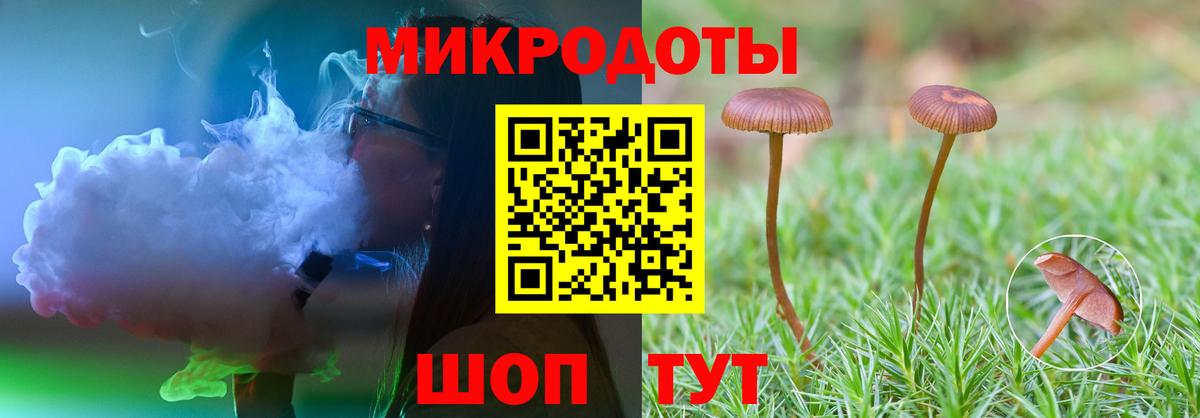 Галлюциногенные грибы мицелий Знаменск