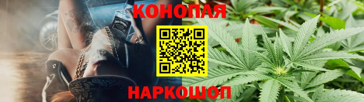 Конопля OG Kush Знаменск